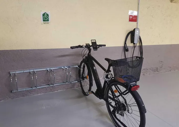 Western Grand De Bordeaux אורילק