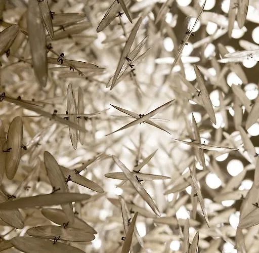 Western Grand De Bordeaux 3*